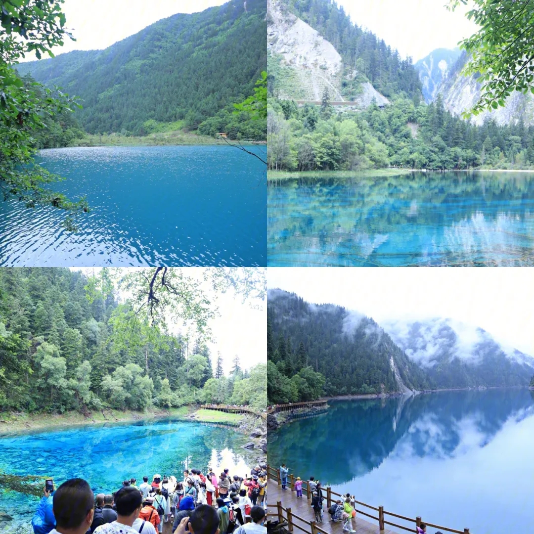 src=http___safe-img.xhscdn.com_bw_948ef238-bdd5-4eeb-bd7e-1658f91de401_imageView.jpg